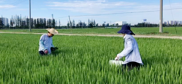 一对一在线指导
