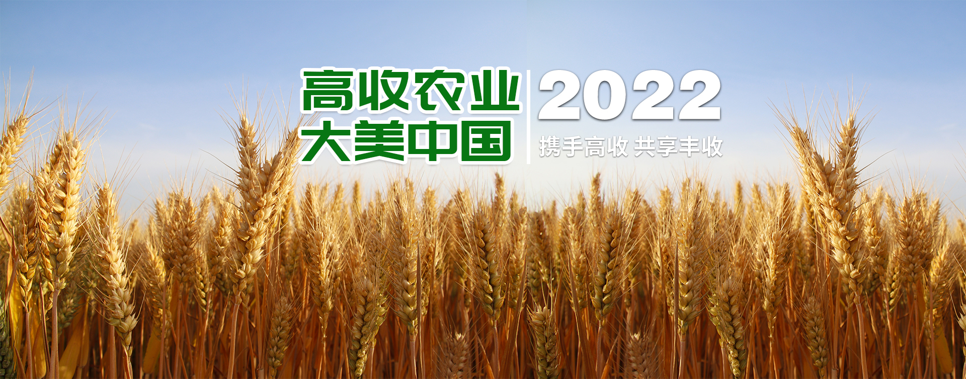 高收农业，现代农业现代梦，中国饭碗中国粮