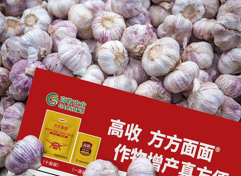 大蒜增产套餐