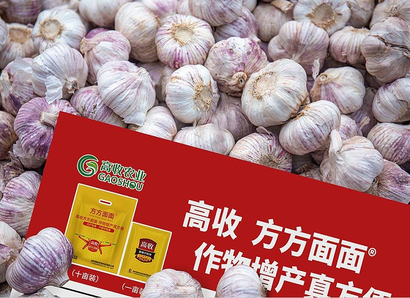 高收农业，花生增产，春耕,