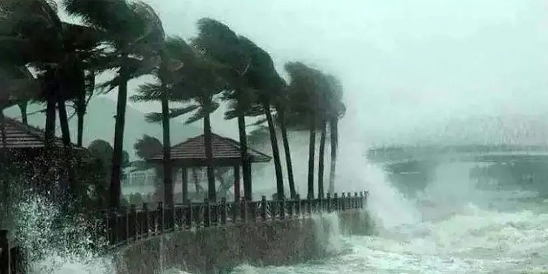 台风,自然灾害,暴雨,