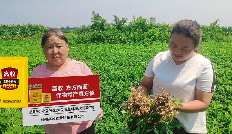 高收增产套餐，高收农业科技，
