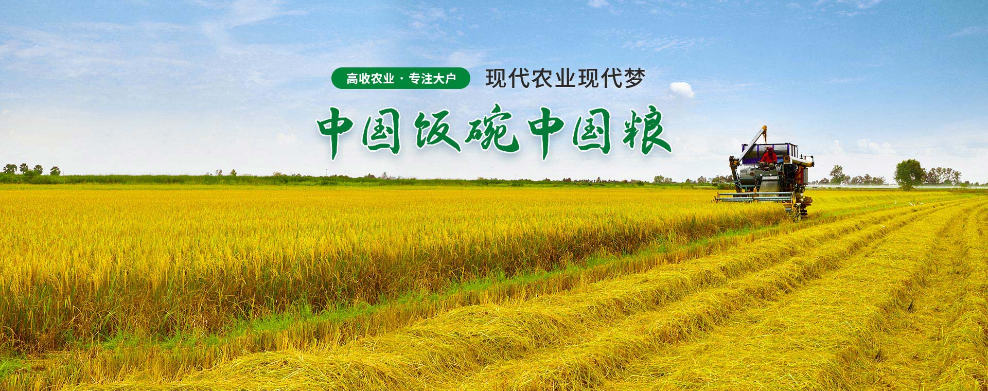 高收农业，现代农业现代梦，中国饭碗中国粮