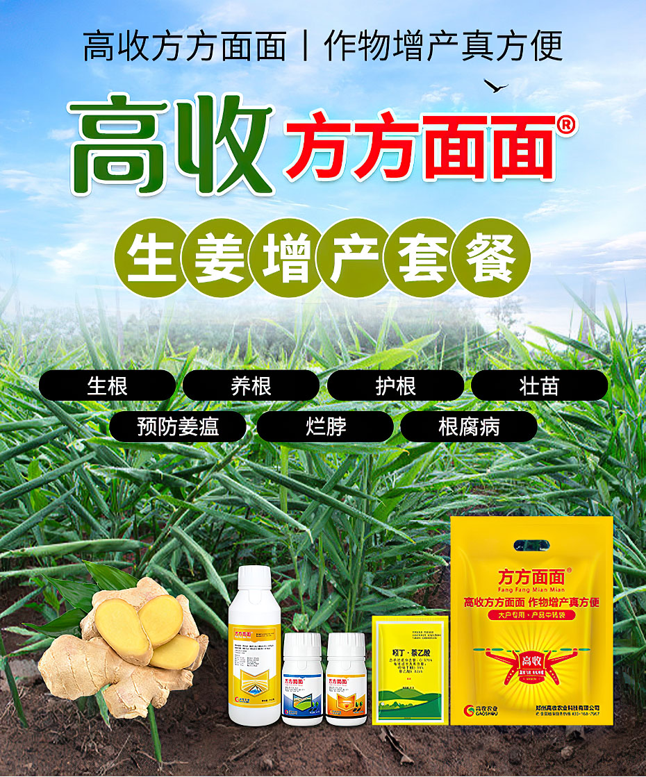生姜增产套餐
