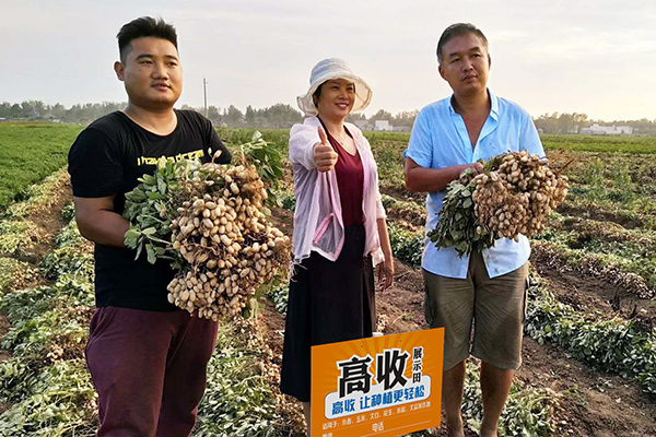 花生增产套餐