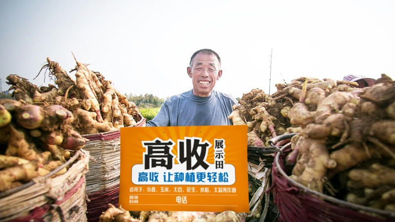 郑州高收农业科技有限公司