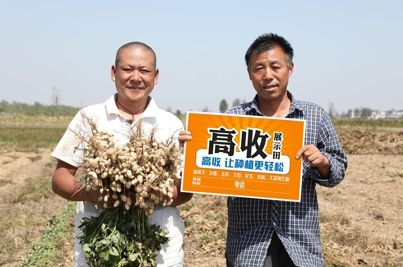 高收花生增产套餐,花生增产,郑州高收农业科技