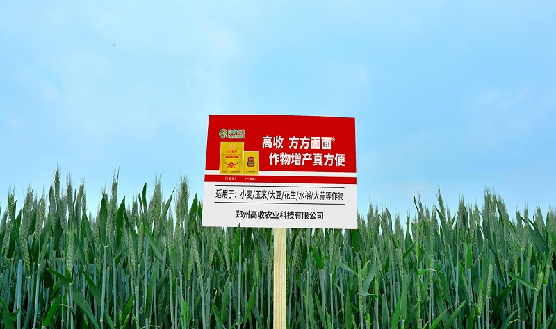 郑州高收农业科技有限公司