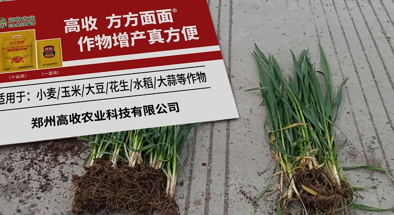 郑州高收农业科技有限公司