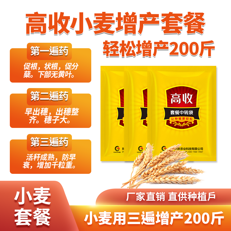 小麦套餐排行