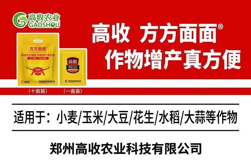 高收增产套餐,玉米增产的良方.