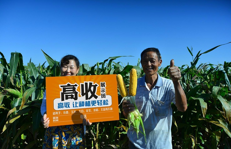 玉米穗部病害怎么办