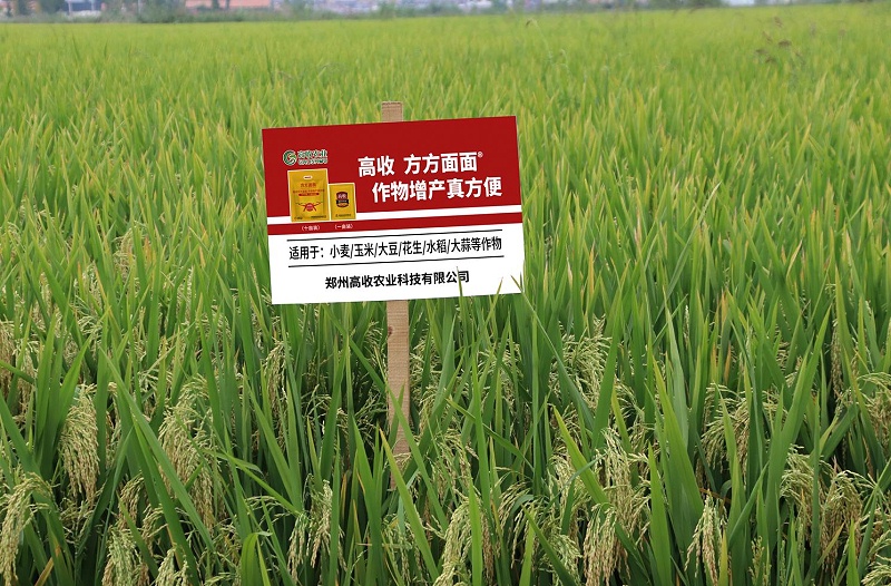 高收农业科技，春耕，方方面面增产套餐
