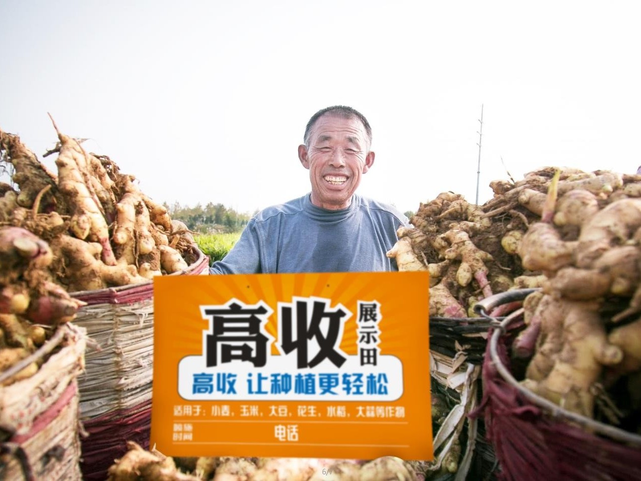 生姜增产套餐,高收增产套餐,高收农业