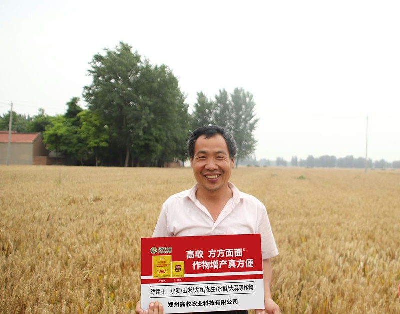 郑州高收农业