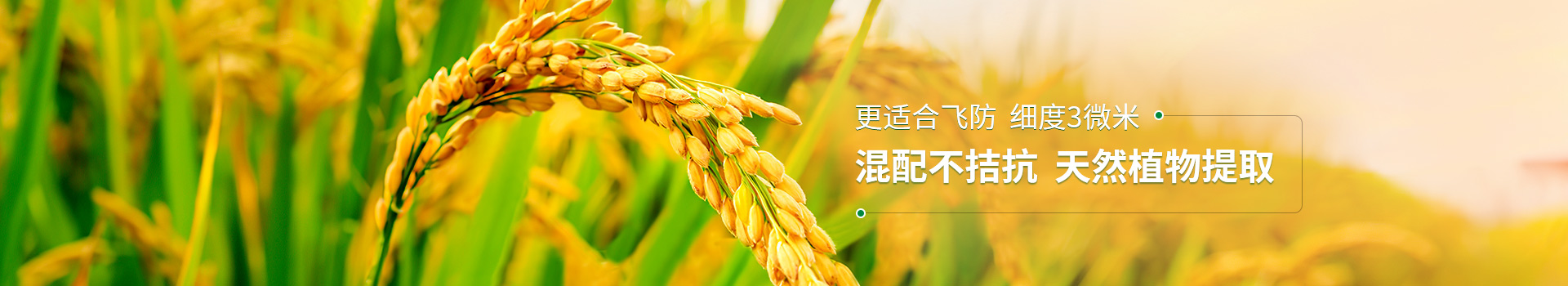 水稻增产套餐混配不拮抗，天然植物提取