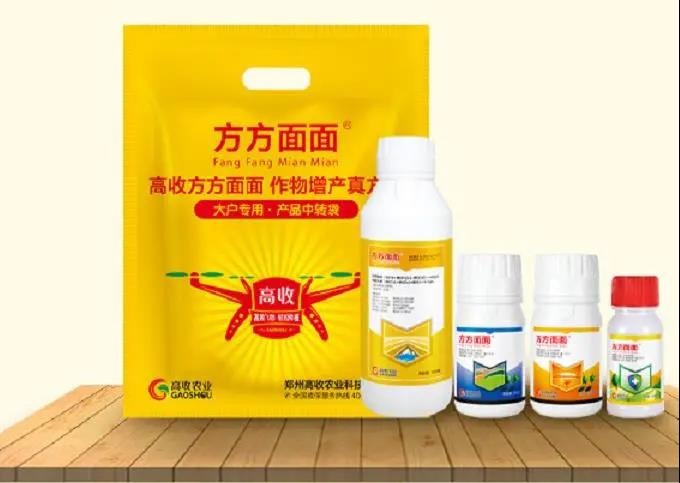 生姜的种植方法：种植大户生姜高产的秘籍，快来围观！