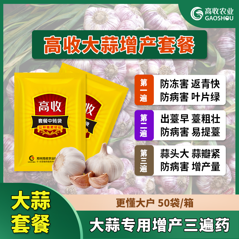 大蒜根部腐烂什么原因