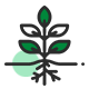 天然植物提取