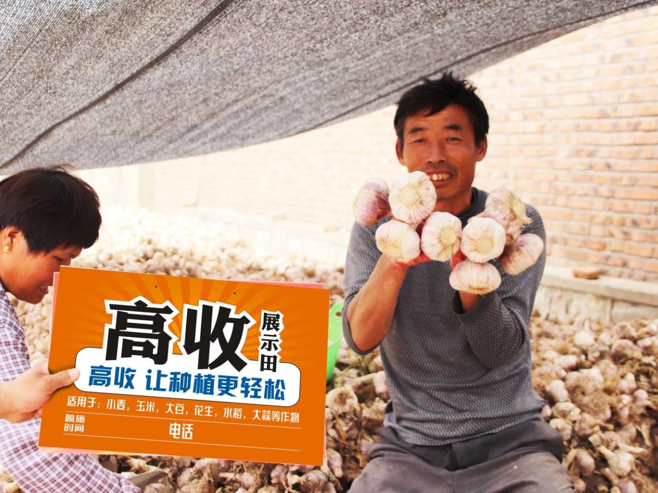 大蒜增产就用高收大蒜增产套餐