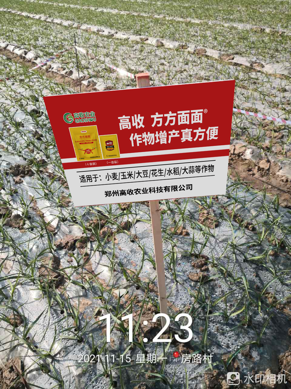 打过农药没有效果怎么办