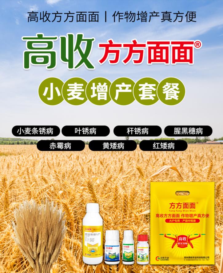 小麦增产套餐