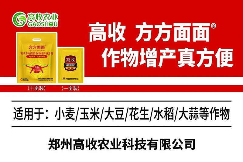 方方面面增产套餐,玉米粘虫的特效药