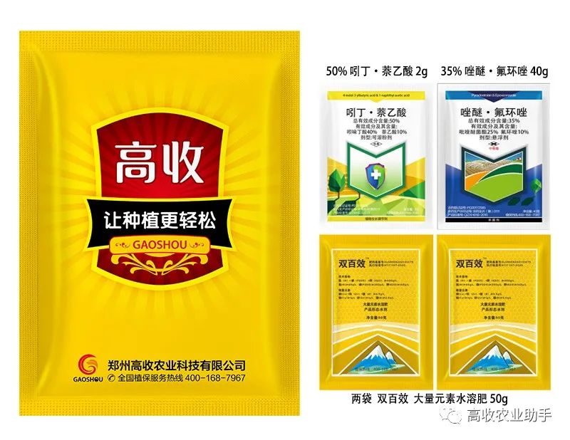 小麦增产的关键举措!