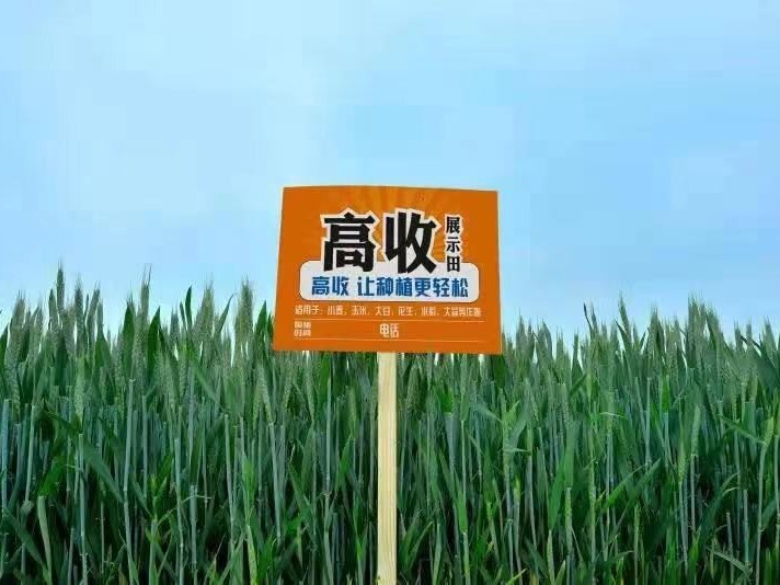 叶面肥如何使用才能达到最大功效