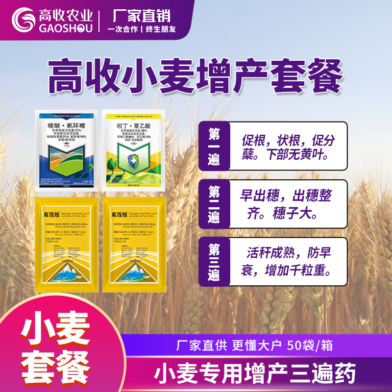 高收小麦增产套餐,喷施三遍,一亩能多收上百斤