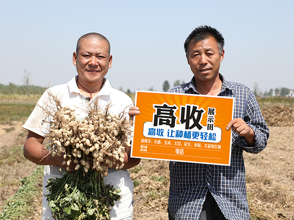胡大哥投入几十元选用高收花生增产套餐，每亩花生多收235斤