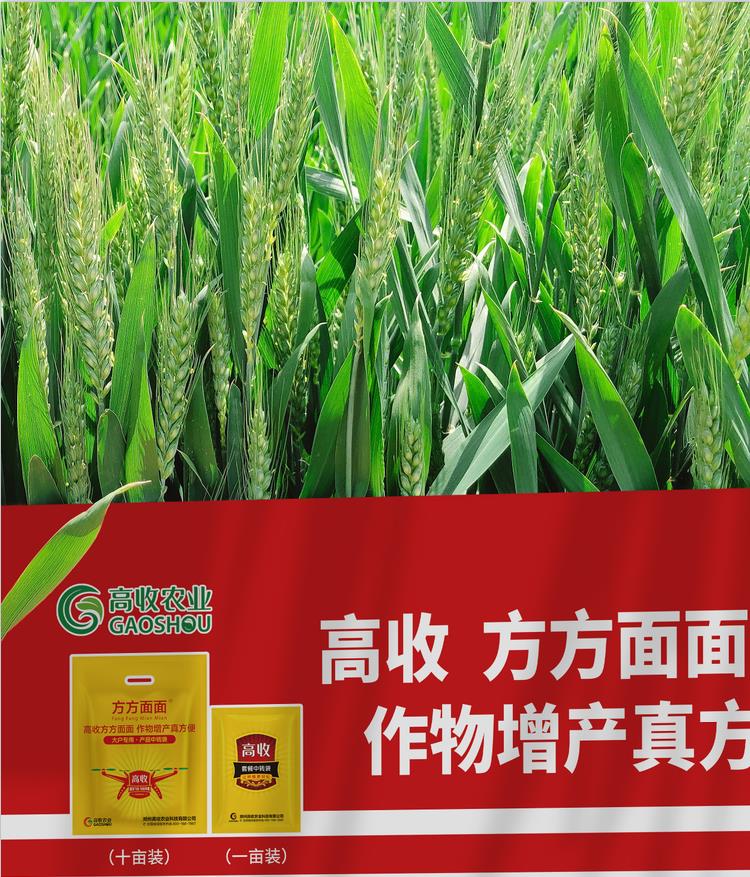 小麦锈病,小麦病害，高收方方面面增收套餐，