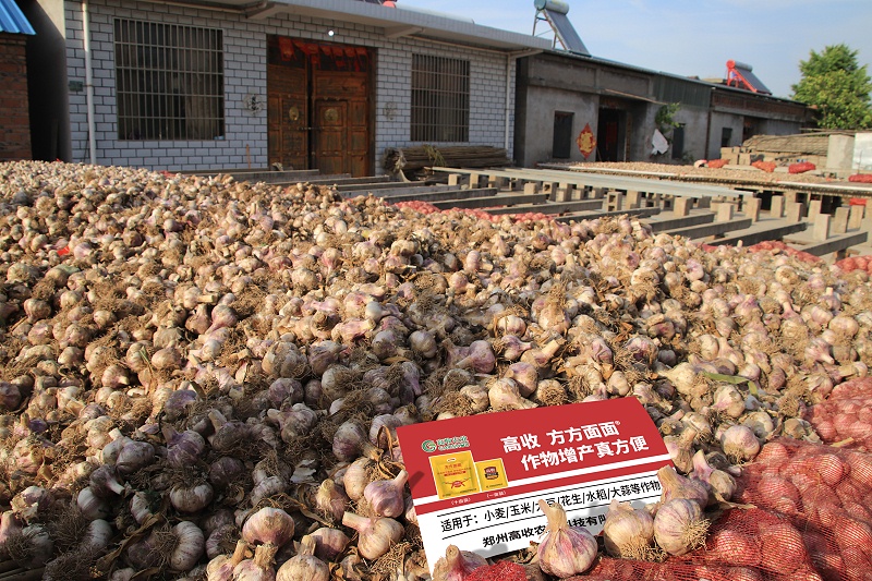 高收方方面面作物增产，大蒜增产套餐，大蒜种植