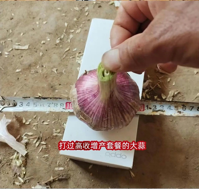 高收增产套餐