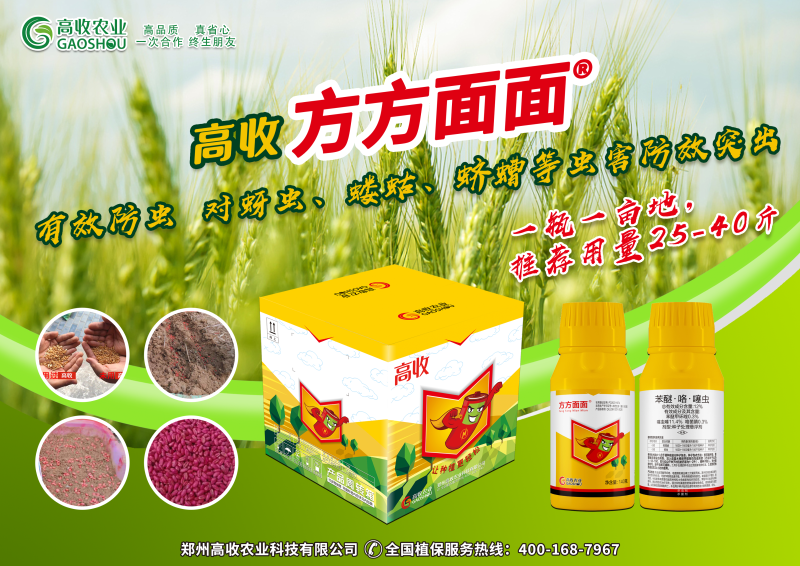 高收小麦