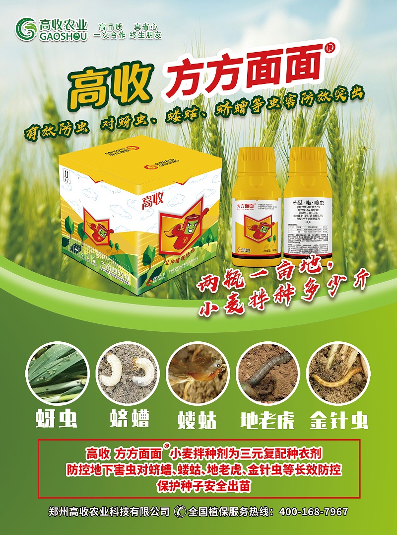 高收小麦拌种剂