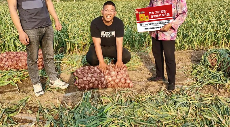 高收方方面面增产套餐，作物增产真方便