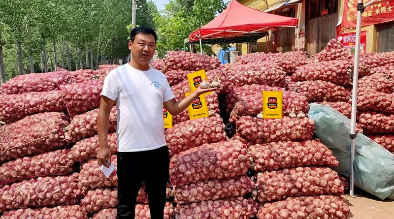 用高收大丰收，高收方方面面增产套餐