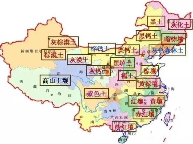 黑垆土，黑土，灰漠土，灰钙土，