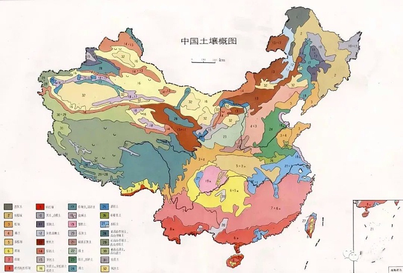 中国地质，地质地图，地图，