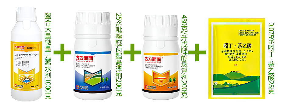 生姜增产套餐内产品