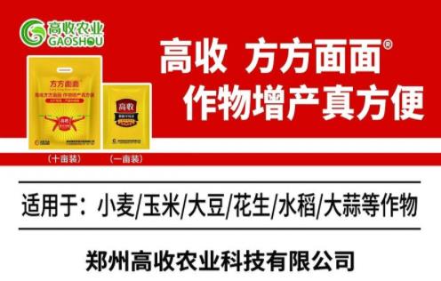 高收方方面面增产套餐,大蒜增产不是问题