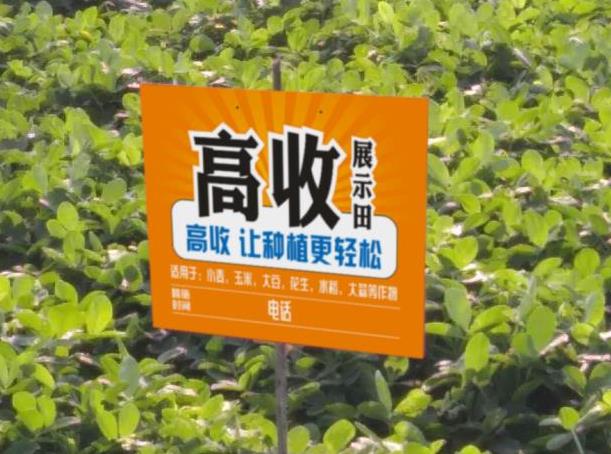 花生重茬怎么解决