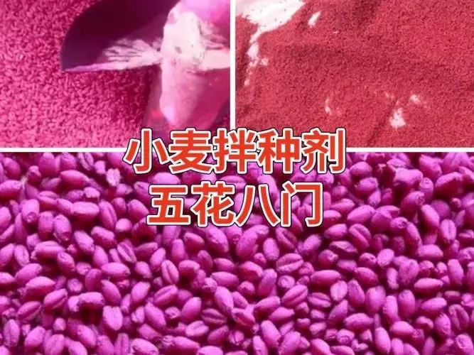 小麦拌种剂
