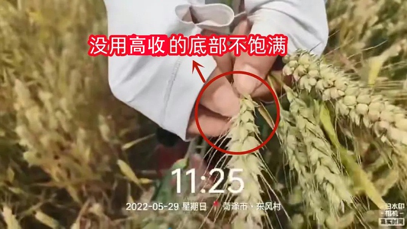没用高收的底部不饱满