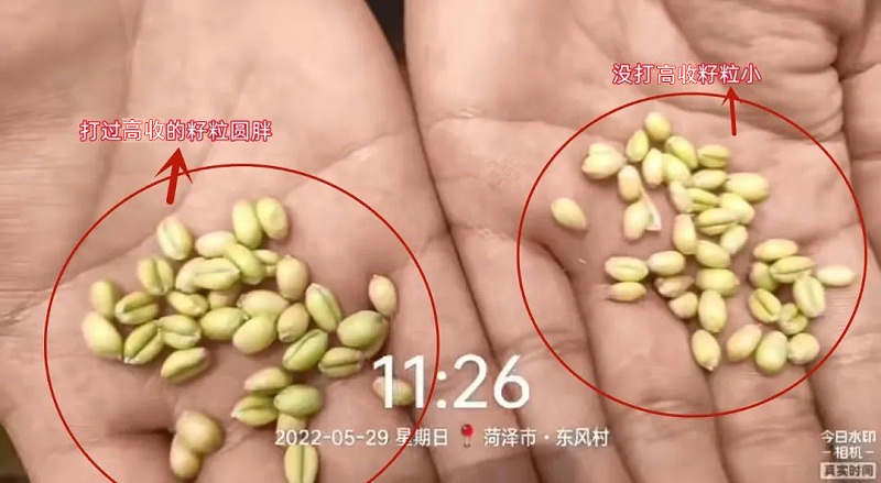 高收农业,农业科技,高收让种植更轻松
