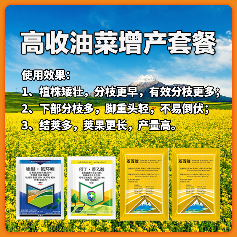 油菜黑胫病发病规律