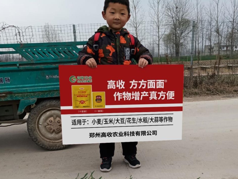 小麦高产就用方方面面