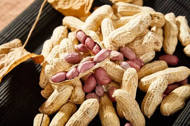 花生花期怎么管？掌握高收农业介绍的这五点！轻轻松松得高产！
