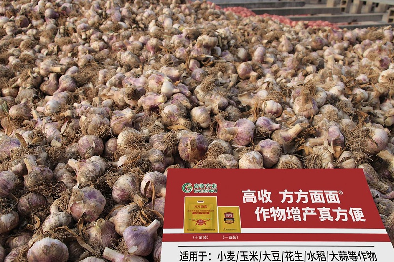 郑州高收农业科技有限公司
